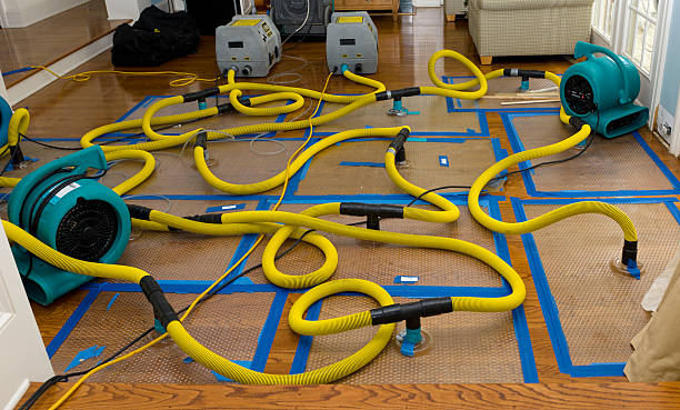 Professional Structural Drying And Dehumidification technician working in Weirton, WV
